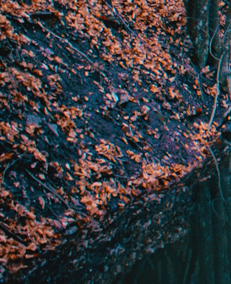 粉象生活可以赚钱吗