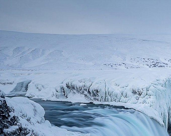 粉象生活是什么?