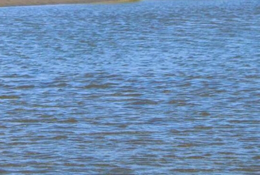 粉象生活淘宝怎么授权不了