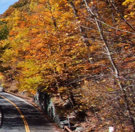 粉象生活怎么赚钱的