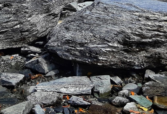 粉象生活下载app