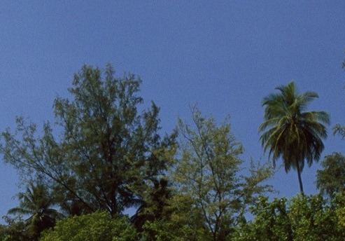 粉象生活赚钱怎么挣的