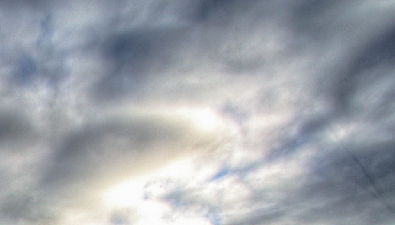 粉象生活邀请码