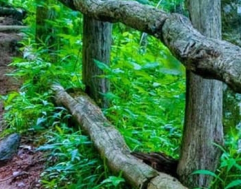 粉象生活怎么获得积分