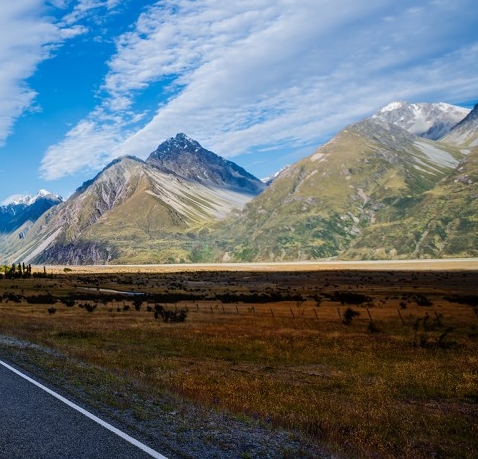 肇庆粉象生活收入