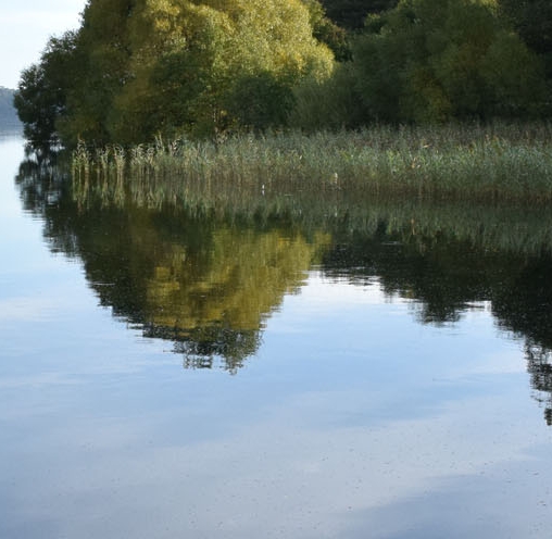 粉象生活没有粉丝怎么赚钱