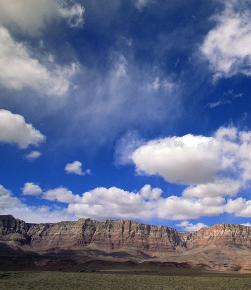 刷粉象生活粉丝