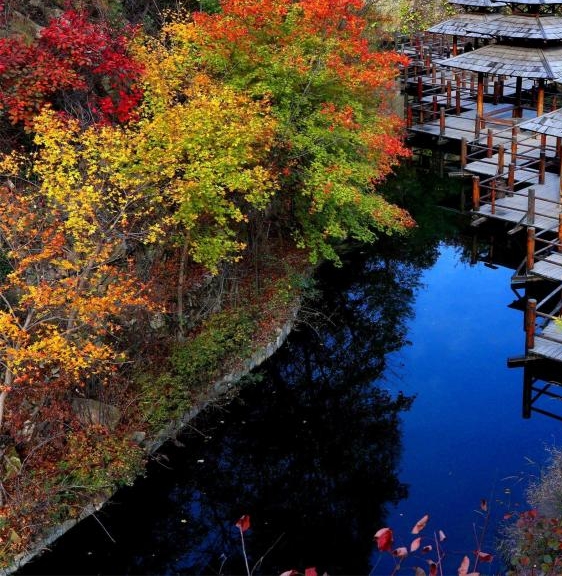 粉象生活赚钱教程