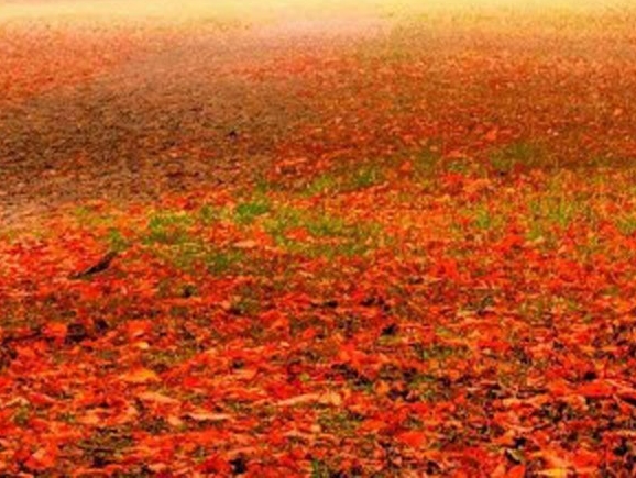 阳江粉象生活可信吗