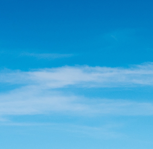 粉象生活推广规则