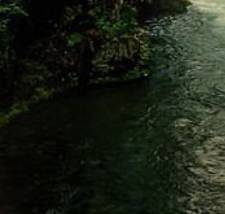 粉象生活简介创始人