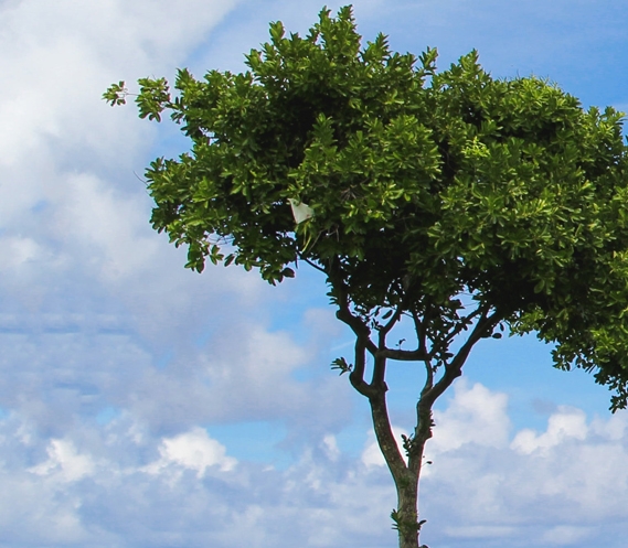 粉象生活怎么注册领取佣金