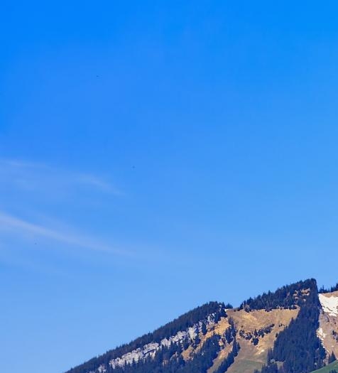 怎样退出粉象生活