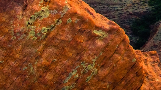 粉象生活怎样解除绑定