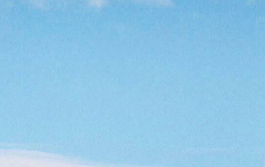 粉象生活邀请码