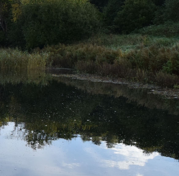 湖南灵象传媒有限公司