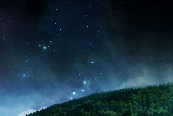 唯品会vlp怎么关闭