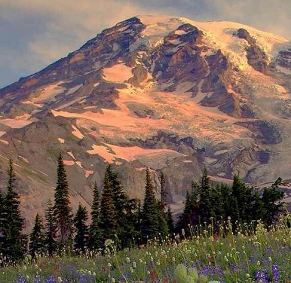 粉象生活返佣是真的吗