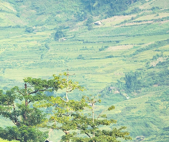 粉象生活的新用户怎么申请