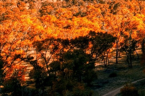 粉象生活需要做任务吗