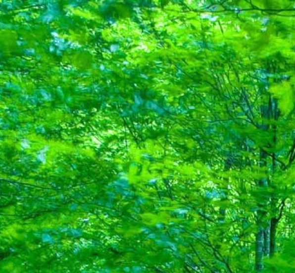 粉象生活新用户怎么用