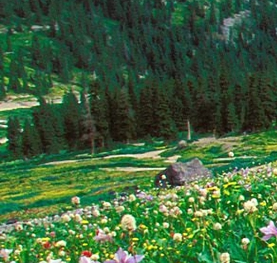 粉象生活怎么取消推送