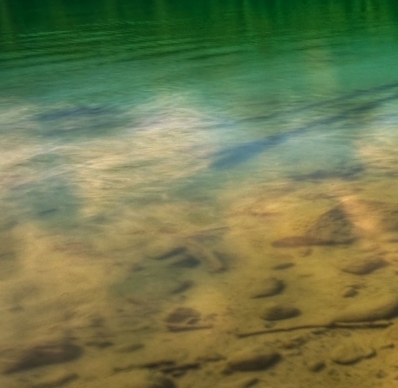 闲鱼结合做粉象生活推广会员