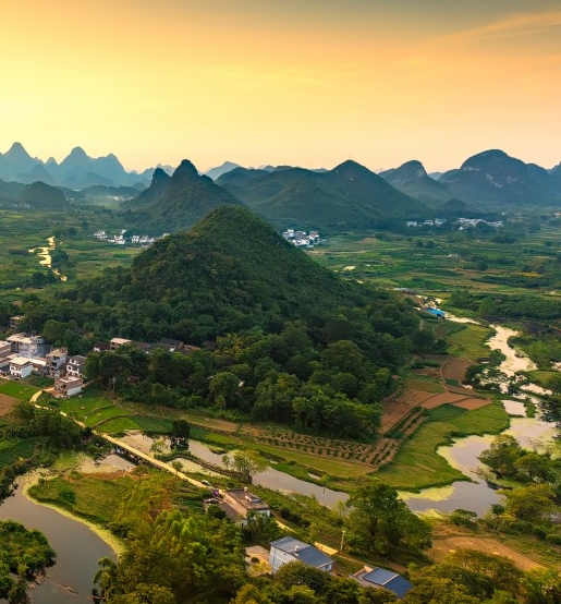 粉象生活具体怎么做