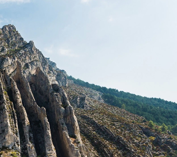 粉象生活粉丝怎么增加