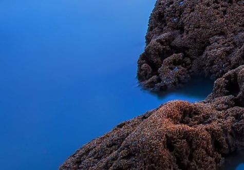 粉象生活怎么赚钱的