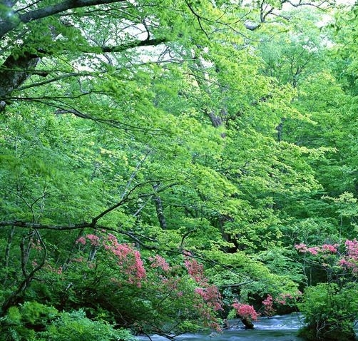 汕尾粉象生活加盟代理