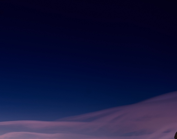 粉象生活骗局大揭秘