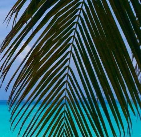 粉象生活邀请一个人可以得到多少钱