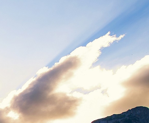 粉象生活邀请人