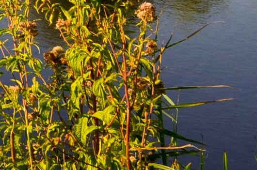粉象生活邀请码填询319781选