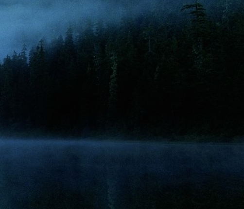 濮阳粉象生活vip