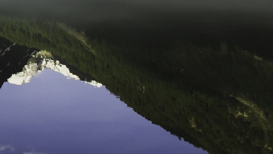 粉象生活自动收款机