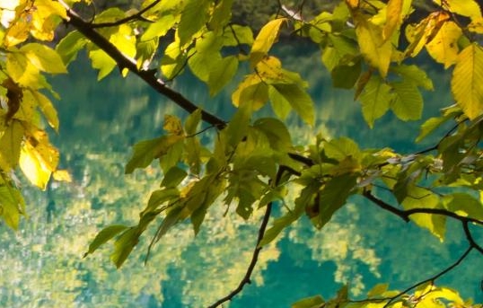 我们生活在南京epub下载