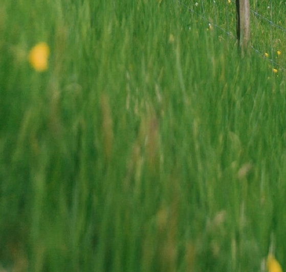 如何解绑注销粉象生活