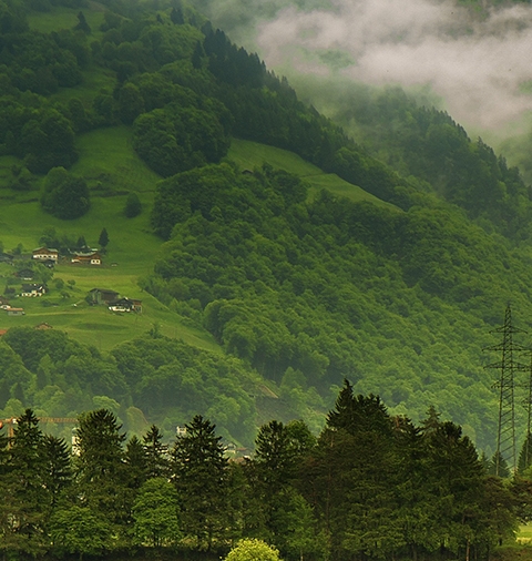 粉象生活赚钱教程