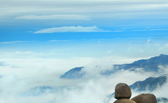 粉象生活邀请码填谁的最好