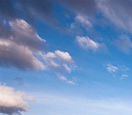 粉象生活下载app