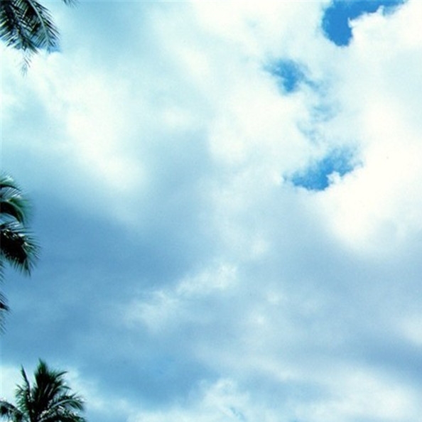 粉象生活是否合法