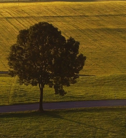 粉象生活代理价格