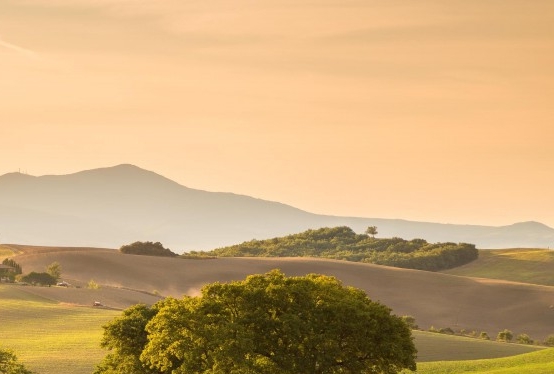 粉象生活怎么用微信登录