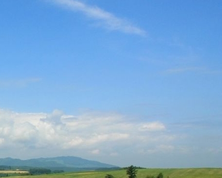 粉象生活是干嘛的