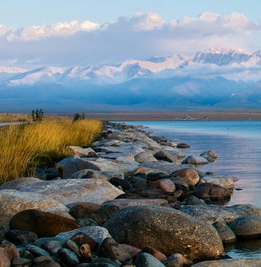 粉象生活是干什么的