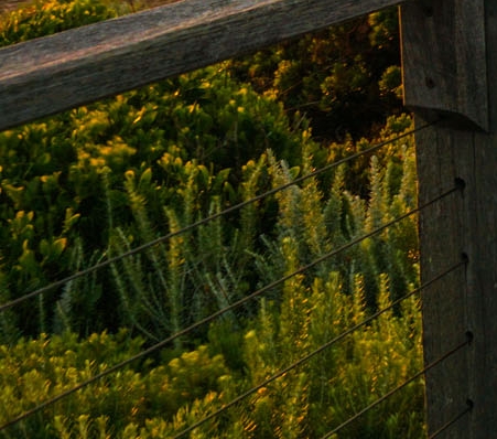 粉象生活代理几级