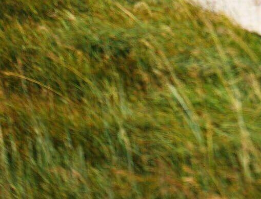 商家如何入驻粉象