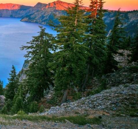 粉象生活亲生经历